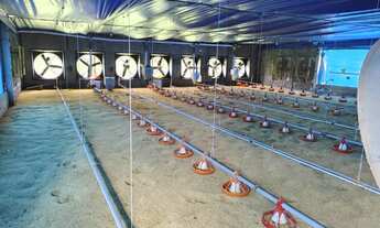 Imagem 5: GRANJA DE FRANGO OTIMA OPORTUNIDADE A VENDA - REGIÃO TATUI/SP