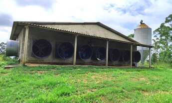 Imagem 3: GRANJA DE FRANGO OTIMA OPORTUNIDADE A VENDA - REGIÃO TATUI/SP