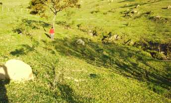 Imagem 3: MARAVILHOSO TERRENO PARA FORMAR SEU SITIO - INGA MIRIM - ITÚ/SP