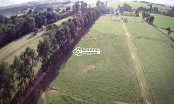 Imagem 3: HARAS MARAVILHOSO !!! 33 ALQUEIRES - 02 NASCENTES - 8 ALQUEIRES FENO TIFTON - À VENDA EM P