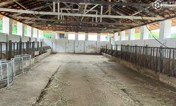 Imagem 7: FAZENDA 750 HA - SANTO ANTONIO DO AMPARO/MG