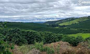 Imagem 2: FAZENDA 750 HA - SANTO ANTONIO DO AMPARO/MG