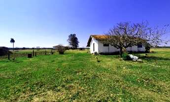Imagem 7: FAZENDA COM 115 ALQUEIRES EM ANGATUBA/SP