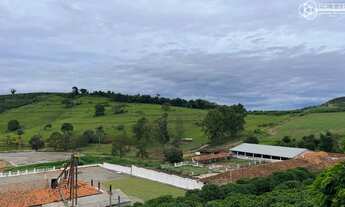 Imagem 3: FAZENDA 750 HA - SANTO ANTONIO DO AMPARO/MG