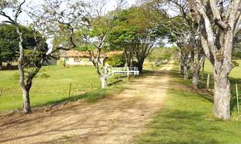 Imagem 7: Excelente Fazenda pronta para Agricultura e Pecuária à venda - Quadra/SP