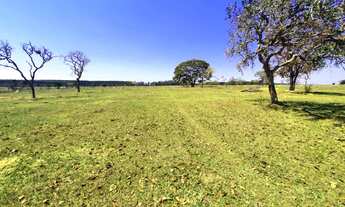 Imagem 4: FAZENDA COM 115 ALQUEIRES EM ANGATUBA/SP