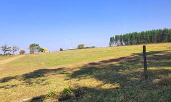 Imagem: FAZENDA PRODUTIVA COM 112 ALQUEIRES - ANGATUBA/SP