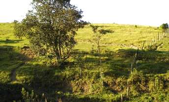 Imagem 2: MARAVILHOSO TERRENO PARA FORMAR SEU SITIO - INGA MIRIM - ITÚ/SP