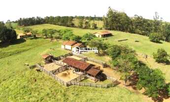 Imagem 3: Excelente Fazenda pronta para Agricultura e Pecuária à venda - Quadra/SP