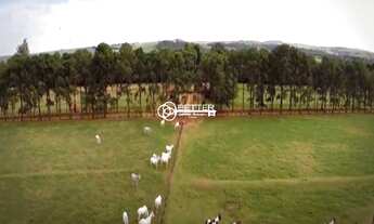 Imagem 6: HARAS MARAVILHOSO !!! 33 ALQUEIRES - 02 NASCENTES - 8 ALQUEIRES FENO TIFTON - À VENDA EM P