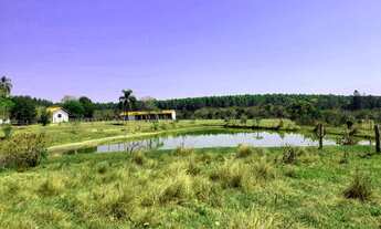 Imagem: FAZENDA COM 115 ALQUEIRES EM ANGATUBA/SP