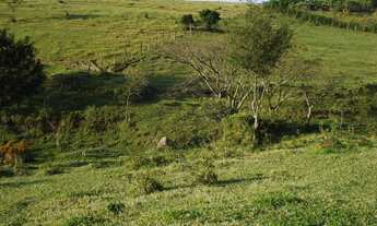 Imagem 7: MARAVILHOSO TERRENO PARA FORMAR SEU SITIO - INGA MIRIM - ITÚ/SP