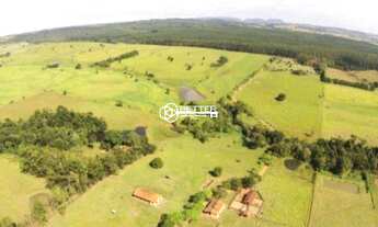 Imagem 2: Excelente Fazenda pronta para Agricultura e Pecuária à venda - Quadra/SP