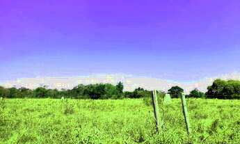 Imagem 6: FAZENDA COM 115 ALQUEIRES EM ANGATUBA/SP