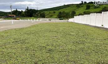 Imagem 4: FAZENDA 750 HA - SANTO ANTONIO DO AMPARO/MG