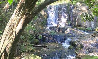 Imagem: SITIO 13,86 ALQUEIRES PAULISTA COM CACHOEIRA