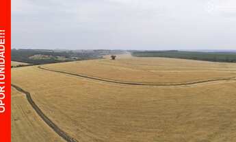 Imagem: FAZENDA 290 HA PLANTIO DE SOJA AGRO NEGOCIO