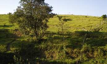 Imagem: AREA A VENDA 22.190,72M2 - TERRENO INGA