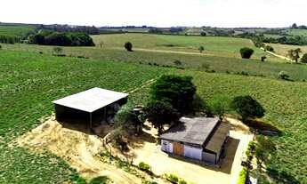 Imagem 2: FAZENDA 30 ALQUEIRES - AGRICULTURA E PASTAGEM - TATUI/SP
