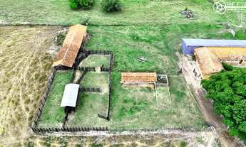 Imagem 4: FAZENDA 30 ALQUEIRES - AGRICULTURA E PASTAGEM - TATUI/SP