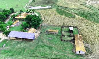 Imagem: FAZENDA 73,50 HECTARES - AGRICULTURA E PASTAGEM