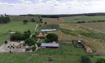 Imagem 7: FAZENDA 30 ALQUEIRES - AGRICULTURA E PASTAGEM - TATUI/SP