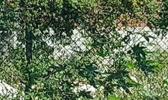 Imagem 3: Excelente na Praia do Morro em Guarapari com 975m2