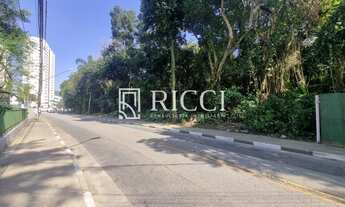 Imagem 2: TERRENO A VENDA NO MORRO NOVA CINTRA EM SANTOS