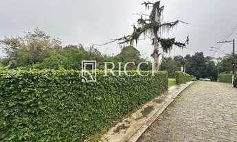 Imagem 6: Terreno à Venda em Área de Preservação Ambiental