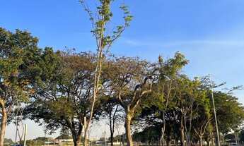 Imagem 6: TERRENO À VENDA CONDOMÍNIO JARDIM PARK MERAKI