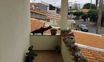 Imagem 7: Sobrado à venda em Indaiatuba-SP, no Jardim Kioto II: 3 quartos, 3 suítes, 1 sala, 1 banhe