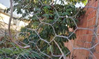 Imagem 3: TERRENO RESIDENCIAL em Itu - SP, Parque industrial