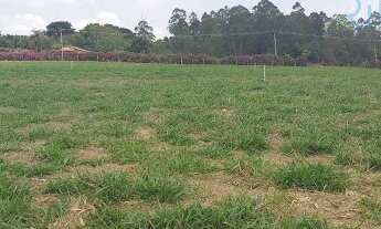 Imagem 7: Terreno em Água Preta - Jarinu