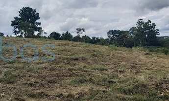 Imagem: Área Rural em Realengo - Jarinu, SP