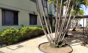 Imagem: Apartamento em Edifício Elvira Beltrame