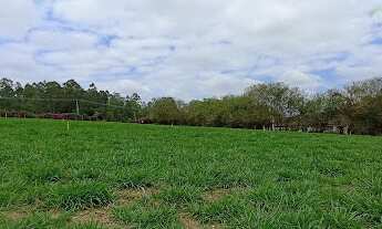 Imagem 7: Terreno em Água Preta - Jarinu