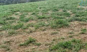 Imagem 4: Terreno em Água Preta - Jarinu