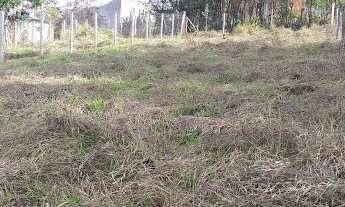 Imagem 4: Terreno em Nova Trieste - Jarinu