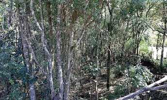 Imagem 7: Terreno á venda no bairro Soares -Jarinu
