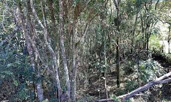 Imagem 6: Terreno á venda no bairro Soares -Jarinu