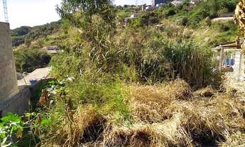 Imagem 6: Terreno em Nova Trieste - Jarinu, SP