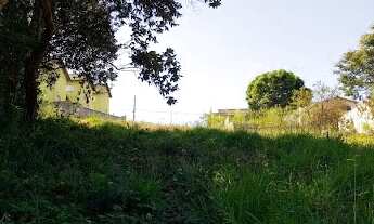 Imagem 4: Terreno em Nova Trieste - Jarinu