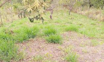 Imagem: Terreno em Primavera - Jarinu, SP