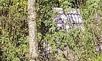 Imagem 6: TERRENO RESIDENCIAL em JARINU - SP, Ypê