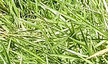 Imagem 7: TERRENO RESIDENCIAL em JARINU - SP, Ypê