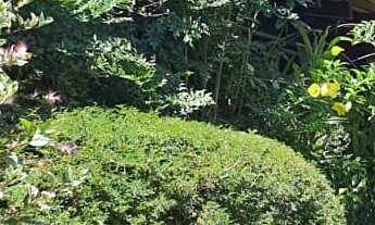 Imagem 5: Sítio á venda no bairro Caioçara -Jarinu/SP