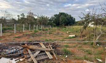 Imagem: Terreno á venda no bairro Nova Trieste