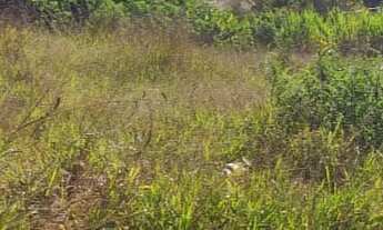 Imagem 2: TERRENO RESIDENCIAL em Jarinu - SP, Trieste