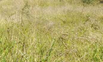 Imagem 4: TERRENO RESIDENCIAL em Jarinu - SP, Trieste