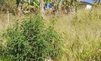 Imagem 6: TERRENO RESIDENCIAL em Jarinu - SP, Trieste